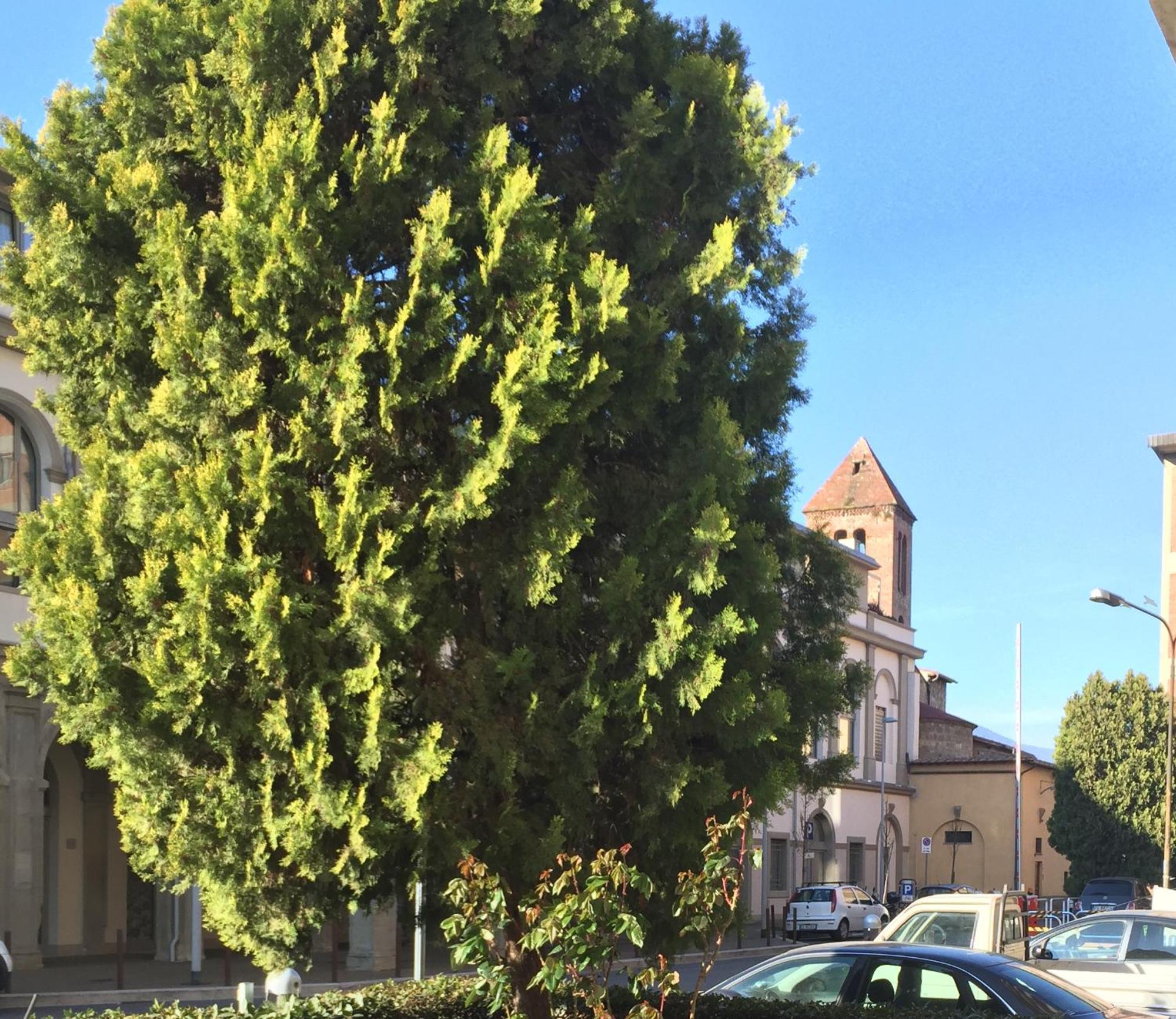 Ferienwohnung San Donato Flat Florenz Exterior foto